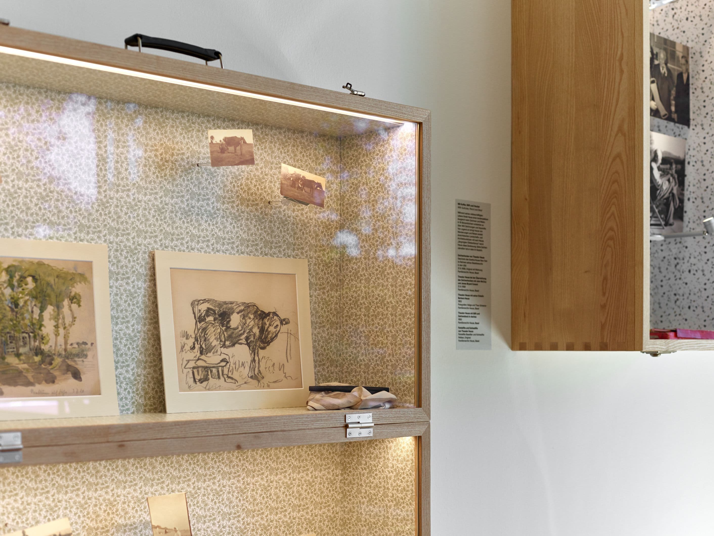 Vitrine in der Ausstellung. Zeichnungen von Theodor Heuss. In der Vitrine ist eine Zeichnung von einer Kuh zu sehen.